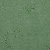 Rustikálne omietky zelená farba